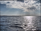 paddling