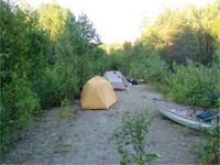 camping on an old logging road